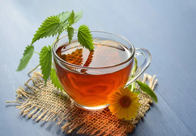 The Astonishing Perks of Drinking Nettle Tea