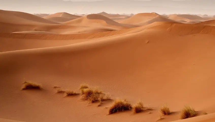 Discover the Splendor of Morocco: An Exploration of Diverse Landscapes